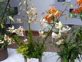 Foto: Dr. Peter Müller